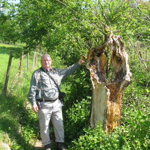 Siegfried Guggenberger